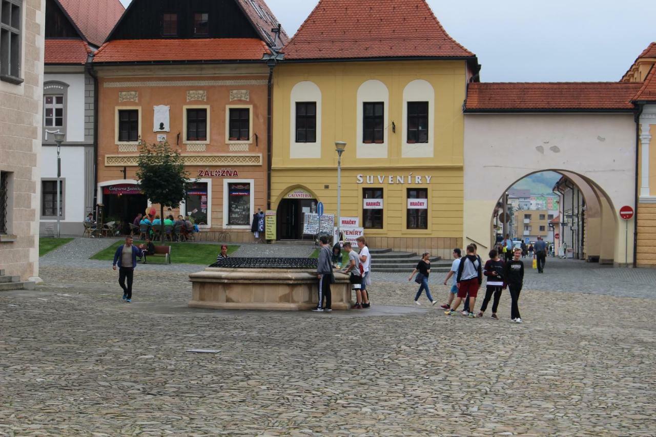 Centrum Apartman Leyla Bardejów Zewnętrze zdjęcie